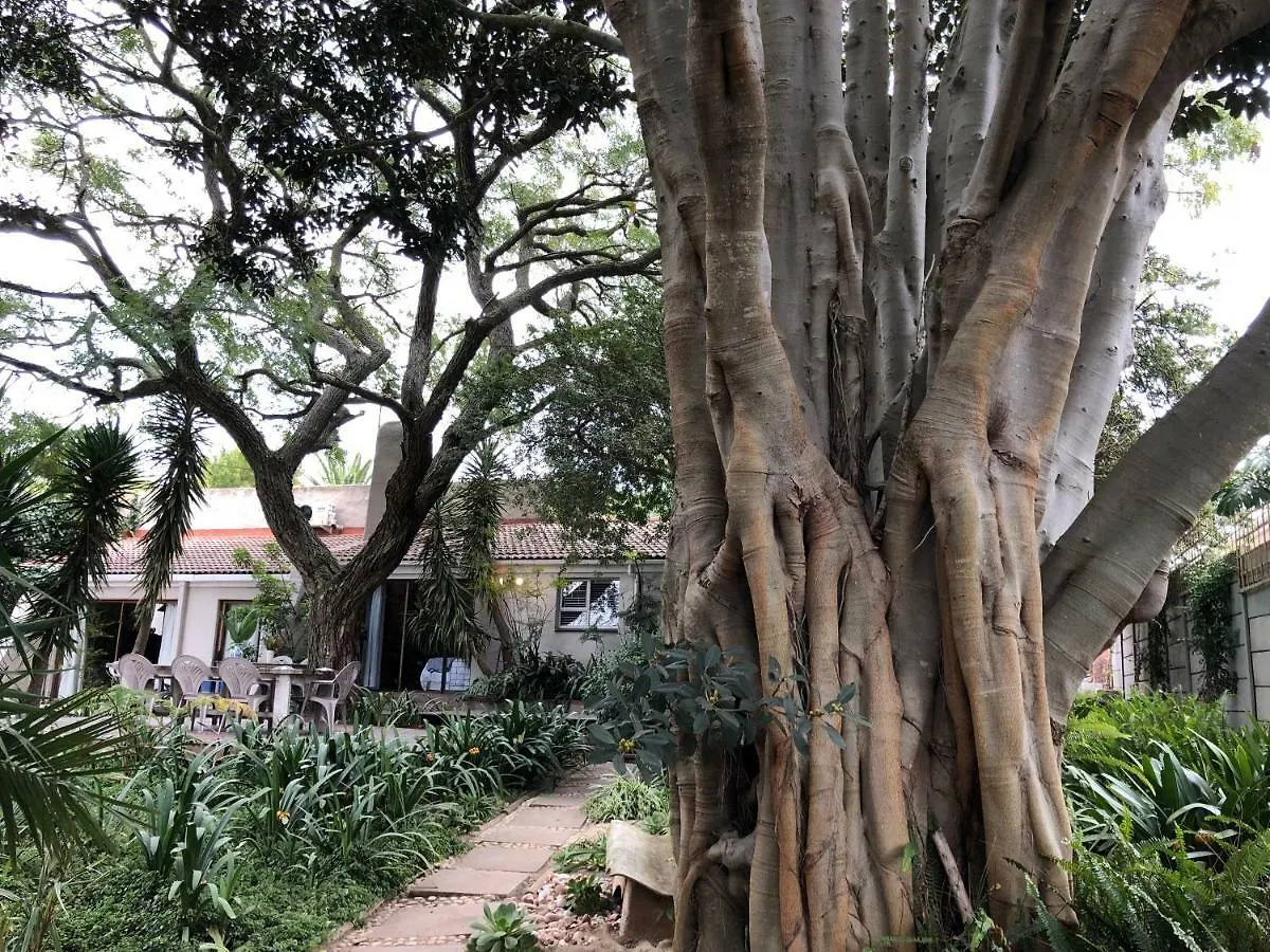 The Wild Fig Hotel Durbanville Guest house